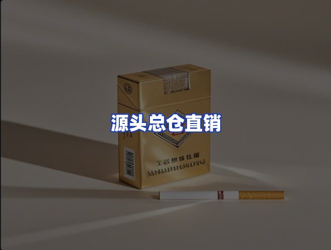 专业团队